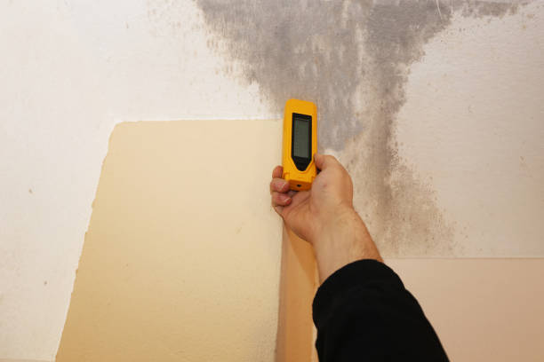 Best Asbestos and Lead Testing During Mold Inspection  in Hanscom Af, MA