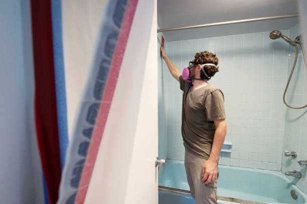 Best Basement Mold Removal  in Hanscom Af, MA