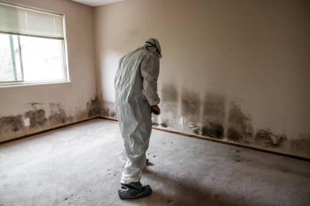 Best Post-Remediation Verification Testing  in Hanscom Af, MA