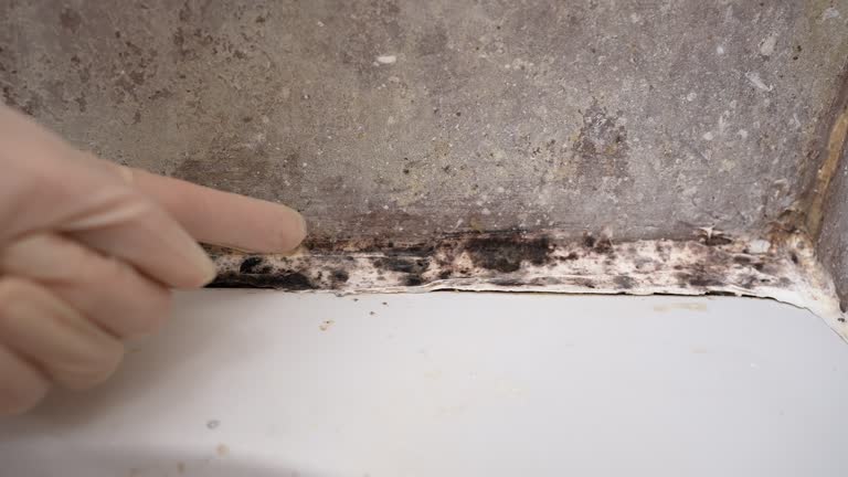 Best Mold Removal for HVAC Installations  in Hanscom Af, MA