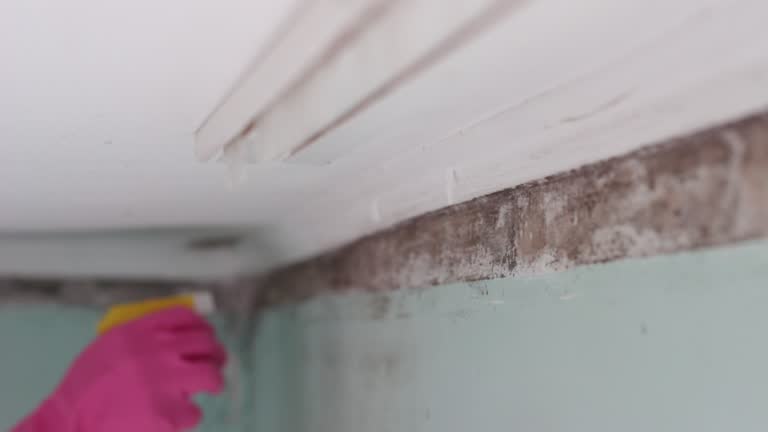 Best Mold Removal for HVAC Installations  in Hanscom Af, MA